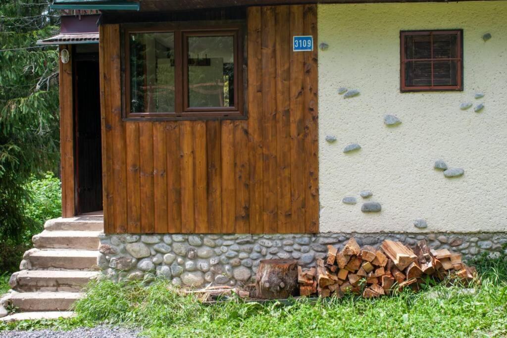 Enchanted Forest Chalet Tatranska Strba Esterno foto
