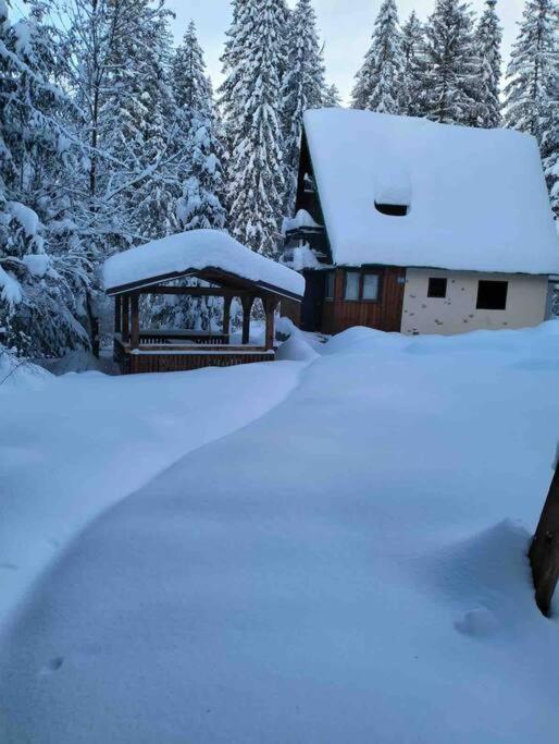 Enchanted Forest Chalet Tatranska Strba Esterno foto